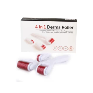 Derma Roller 4 in 1 Online in Pakistan